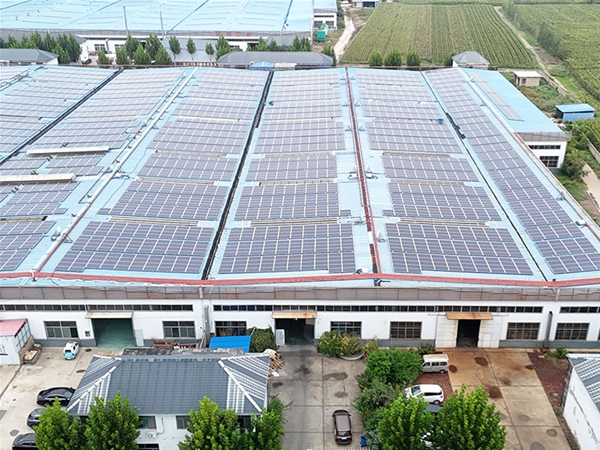 corporate environment